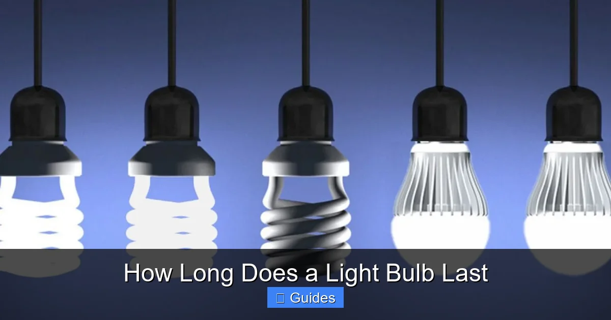 How Long Does a Light Bulb Last