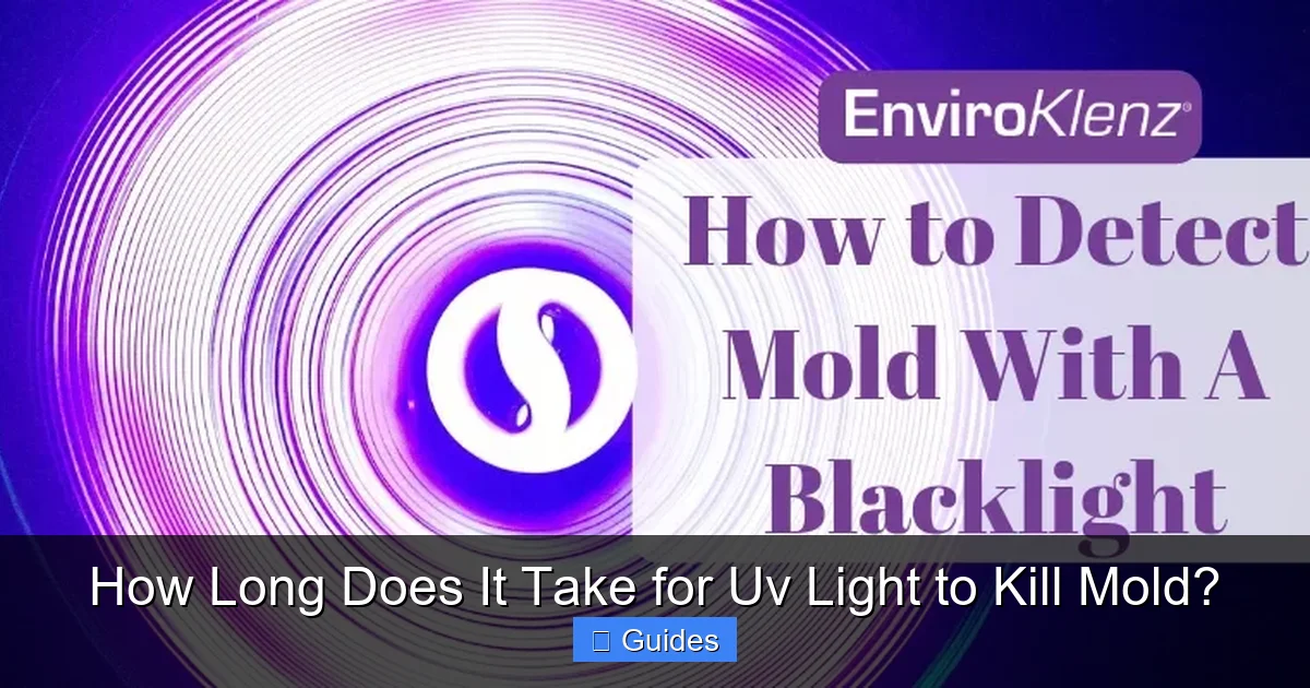 How Long Does It Take for Uv Light to Kill Mold?