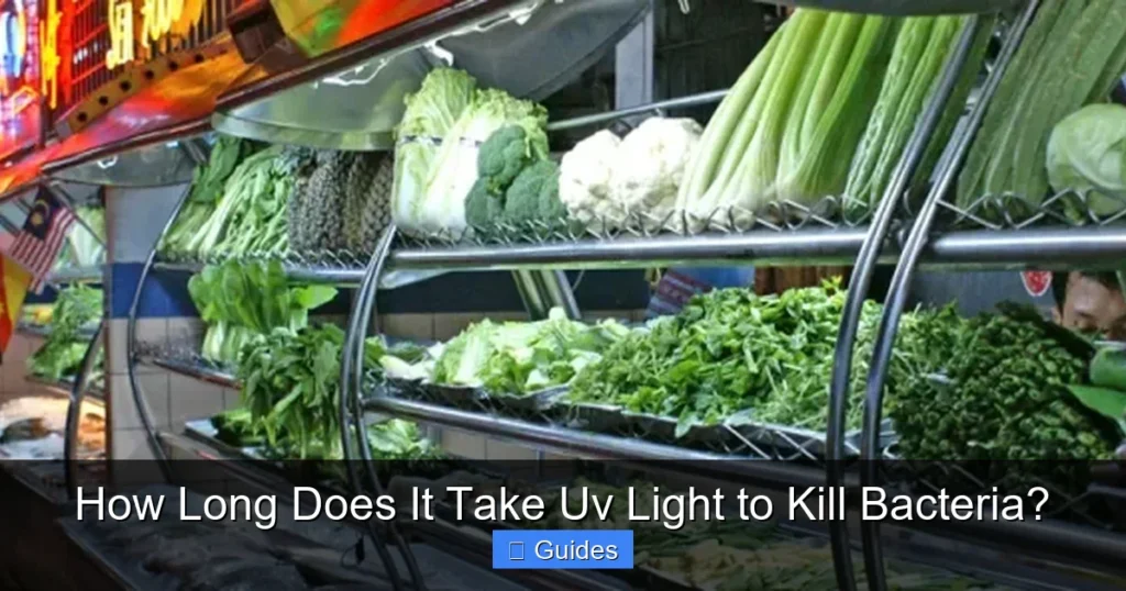 How Long Does It Take Uv Light to Kill Bacteria?