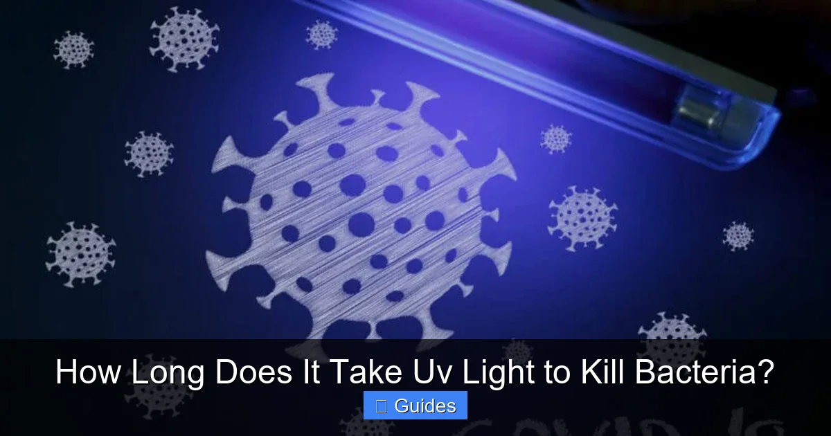 How Long Does It Take Uv Light to Kill Bacteria?