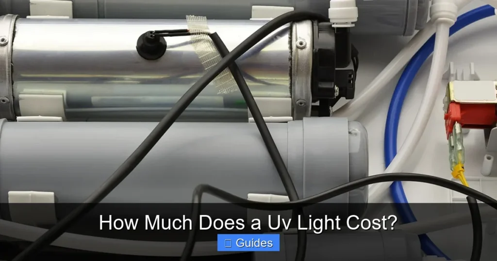 How Much Does a Uv Light Cost?