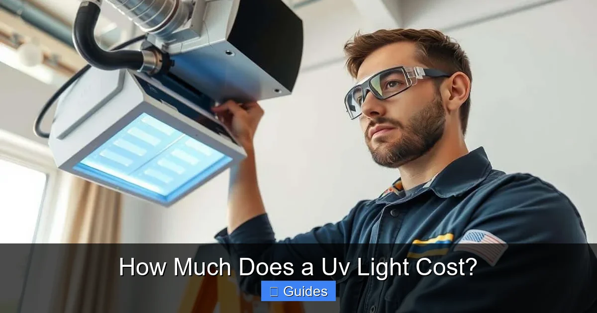 How Much Does a Uv Light Cost?