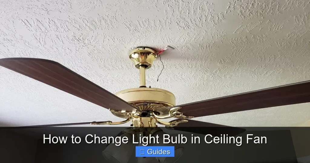How to Change Light Bulb in Ceiling Fan