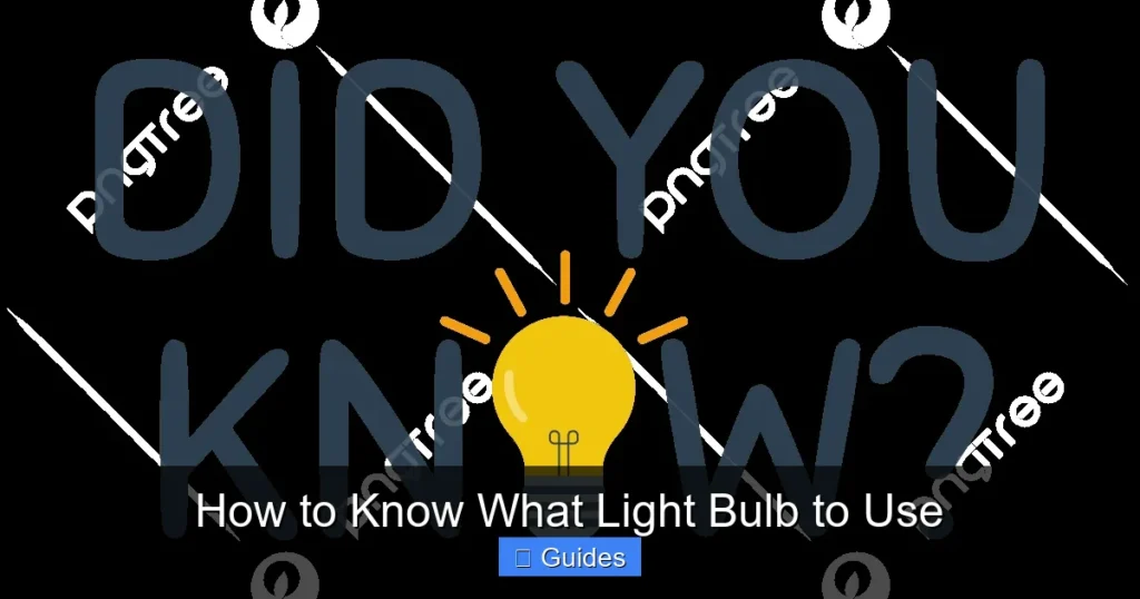 How to Know What Light Bulb to Use