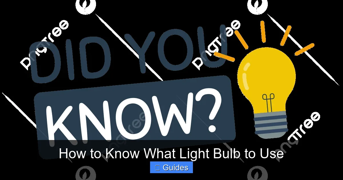 How to Know What Light Bulb to Use