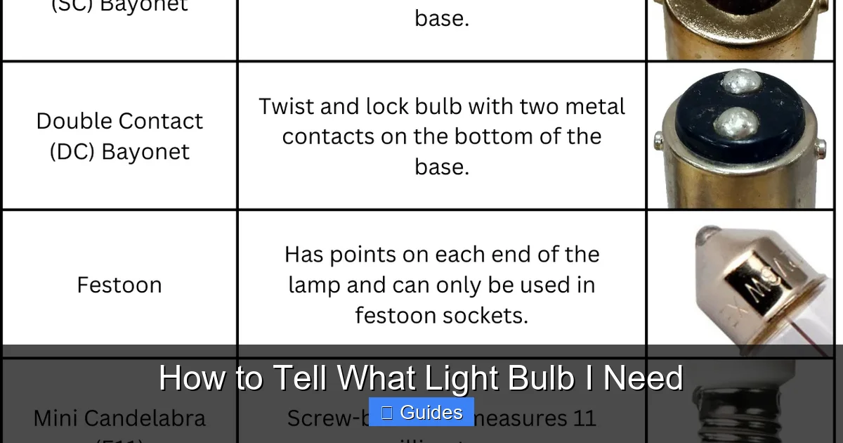How to Tell What Light Bulb I Need