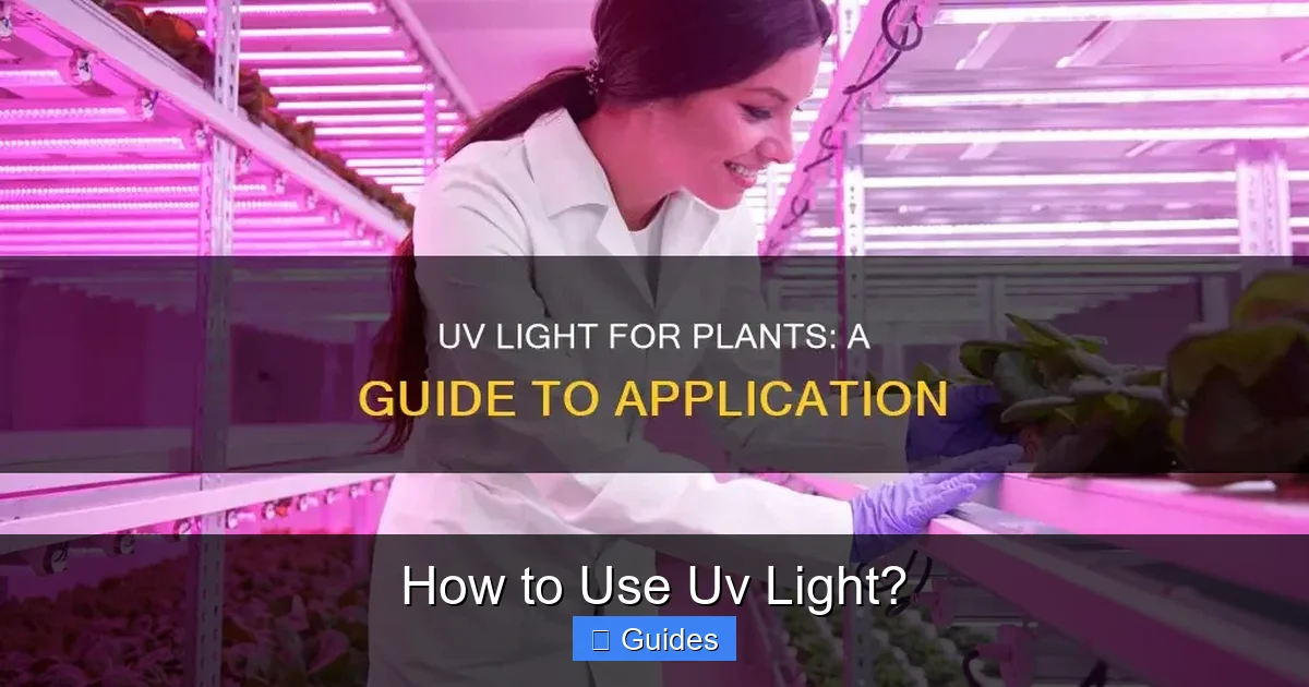 How to Use Uv Light?