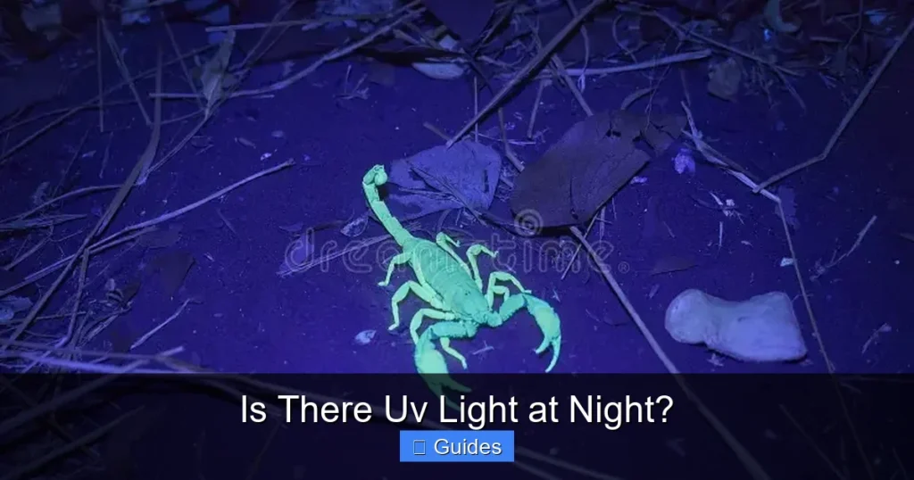 Is There Uv Light at Night?
