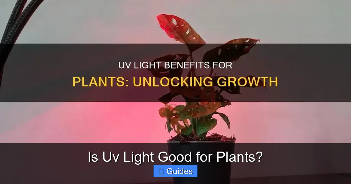 Is Uv Light Good for Plants?