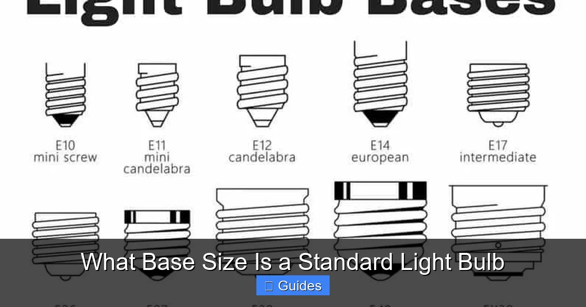 What Base Size Is a Standard Light Bulb