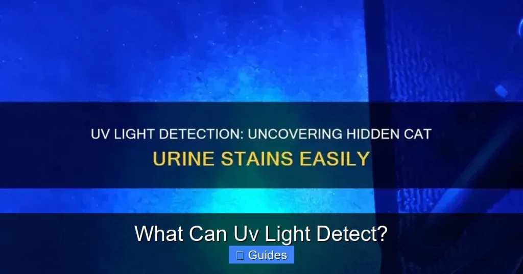 What Can Uv Light Detect?