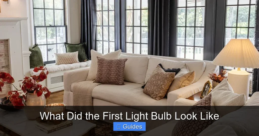 What Did the First Light Bulb Look Like