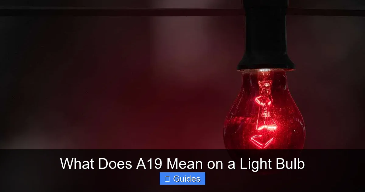 What Does A19 Mean on a Light Bulb