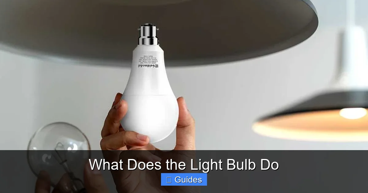 What Does the Light Bulb Do