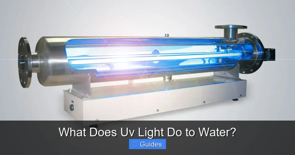 What Does Uv Light Do to Water?