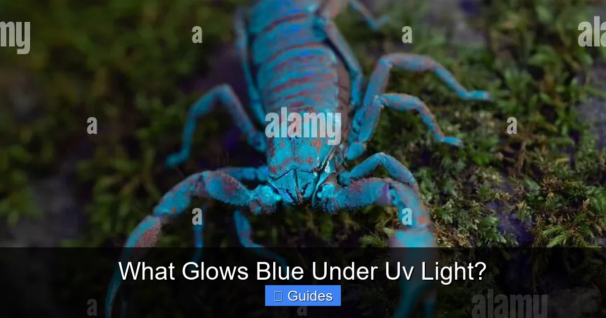 What Glows Blue Under Uv Light?