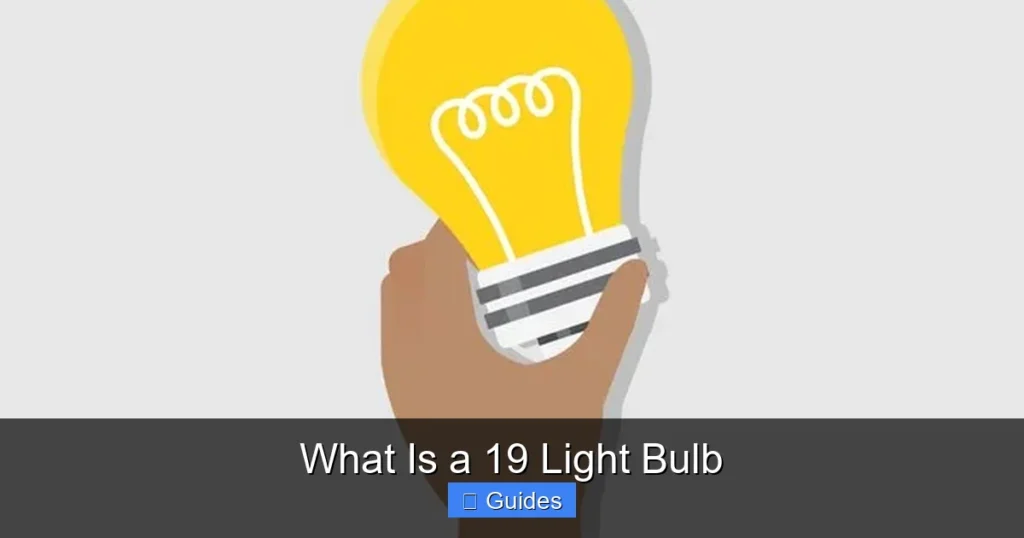 What Is a 19 Light Bulb