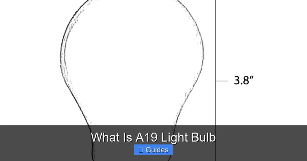 What Is A19 Light Bulb