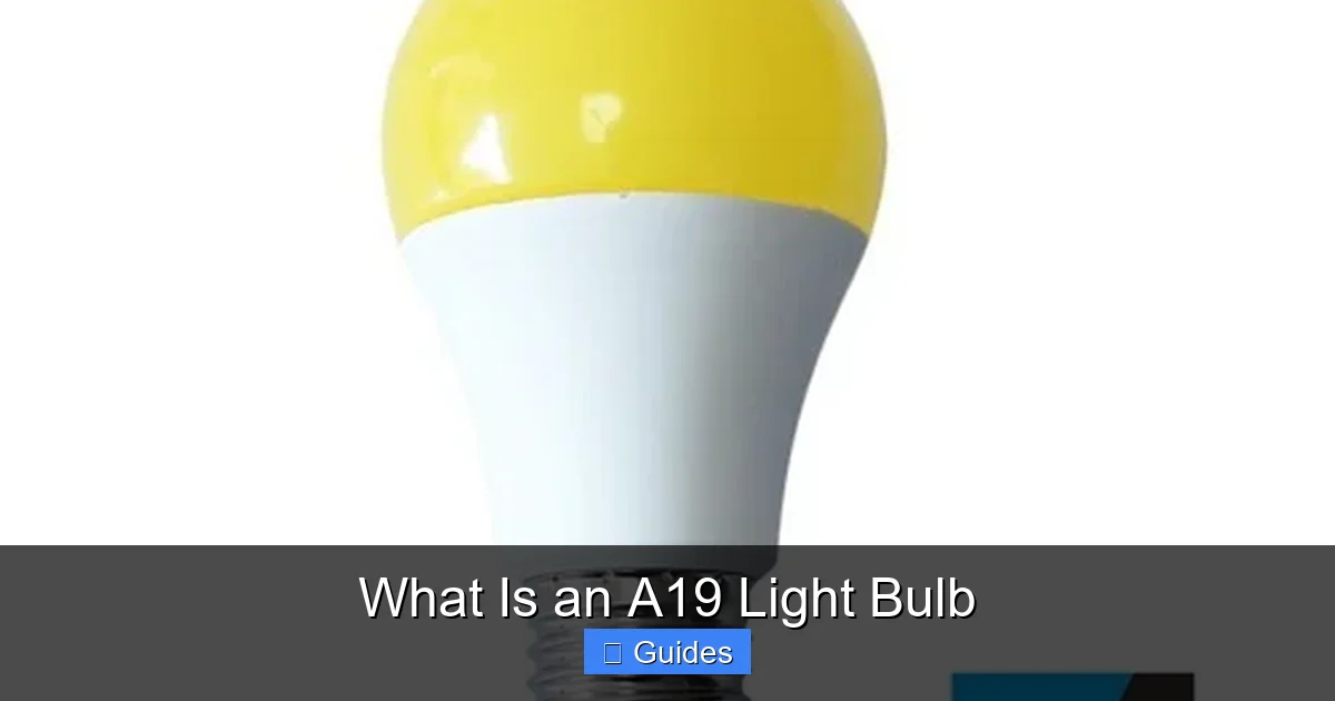What Is an A19 Light Bulb