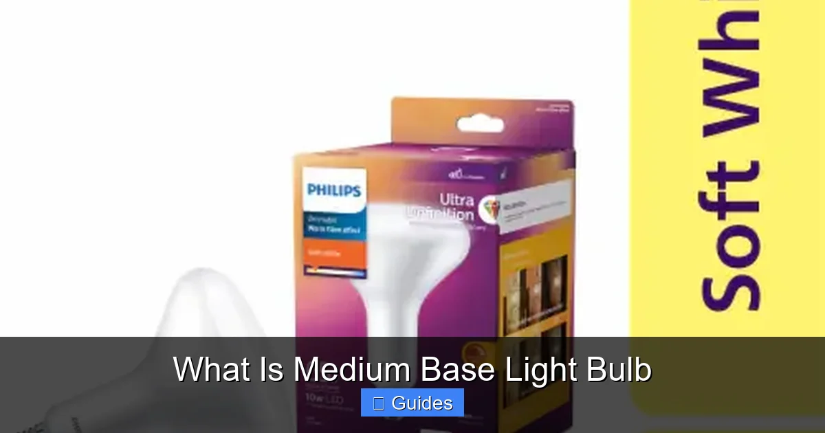 What Is Medium Base Light Bulb