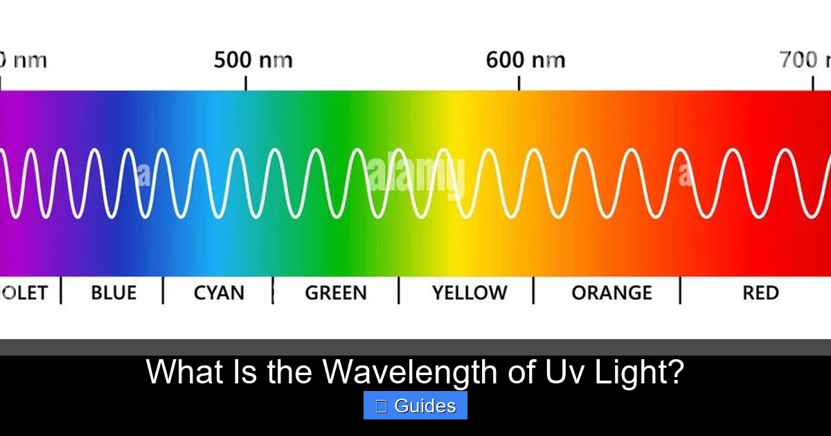 What Is the Wavelength of Uv Light?