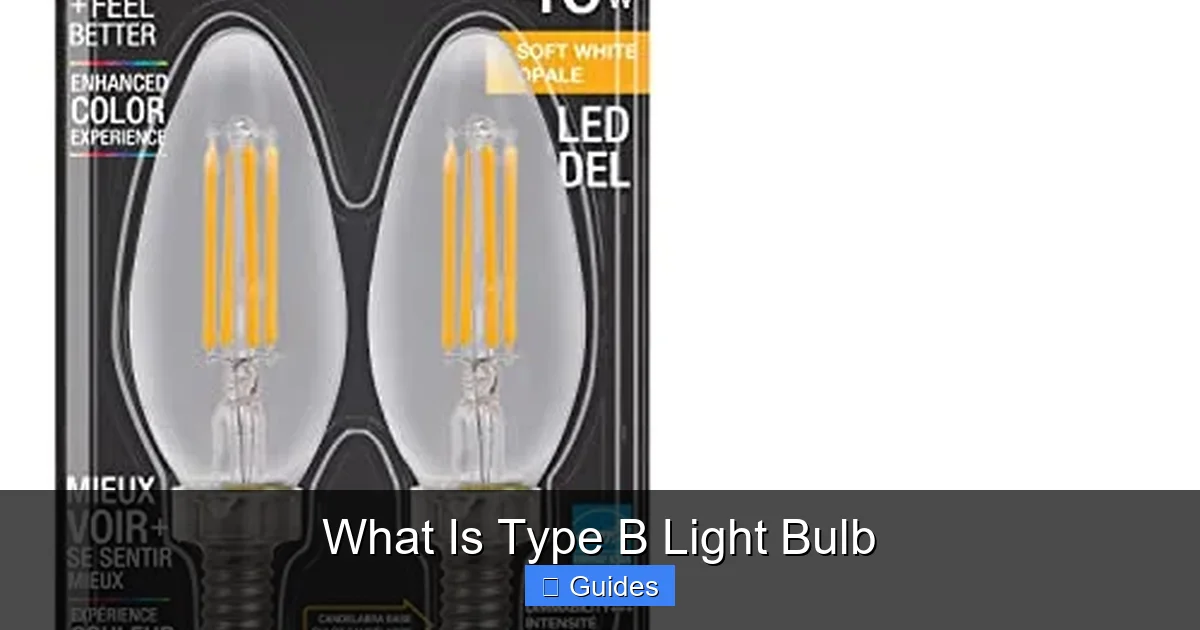 What Is Type B Light Bulb