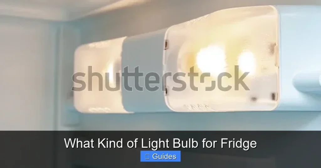 What Kind of Light Bulb for Fridge