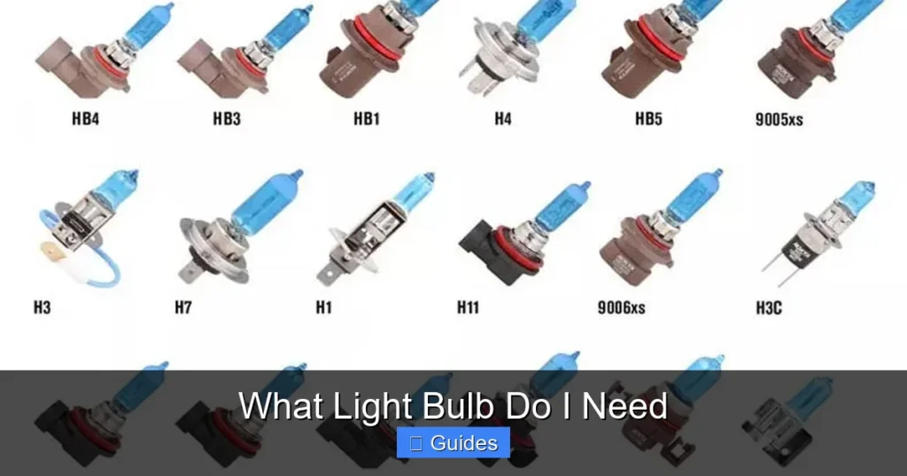 What Light Bulb Do I Need