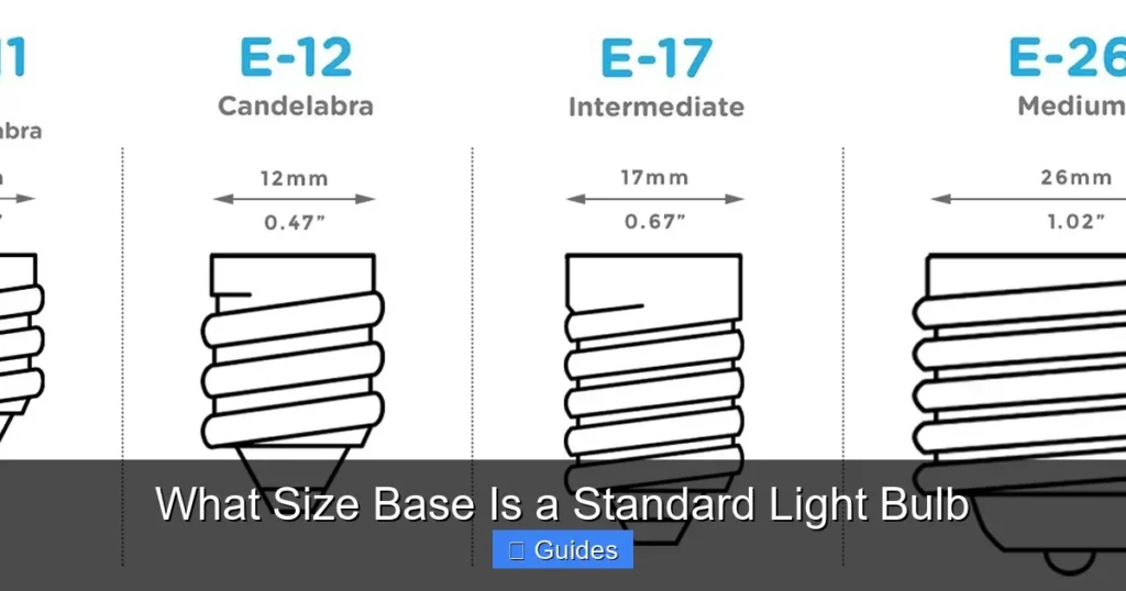 What Size Base Is a Standard Light Bulb