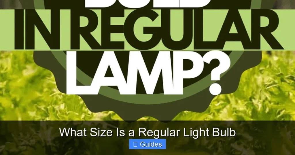 What Size Is a Regular Light Bulb