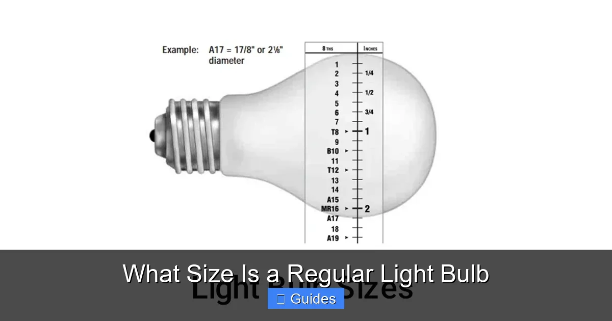 What Size Is a Regular Light Bulb