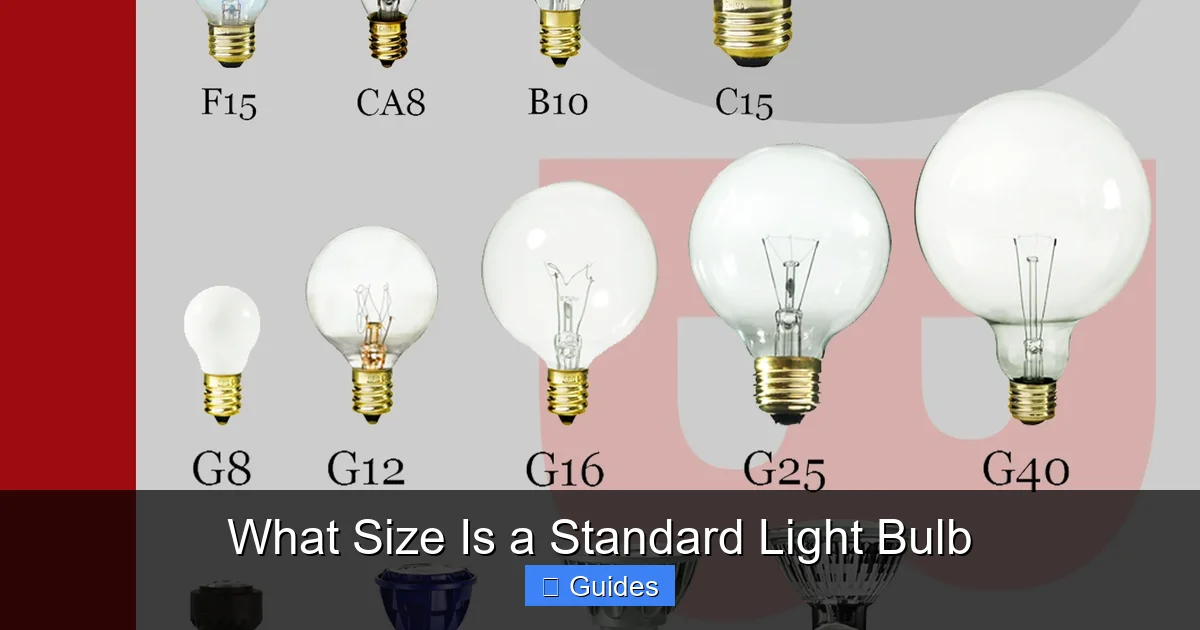 What Size Is a Standard Light Bulb