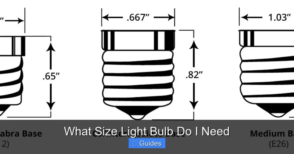 What Size Light Bulb Do I Need