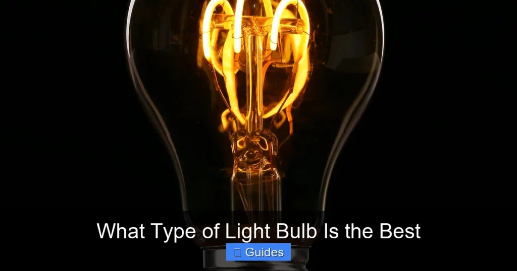 What Type of Light Bulb Is the Best