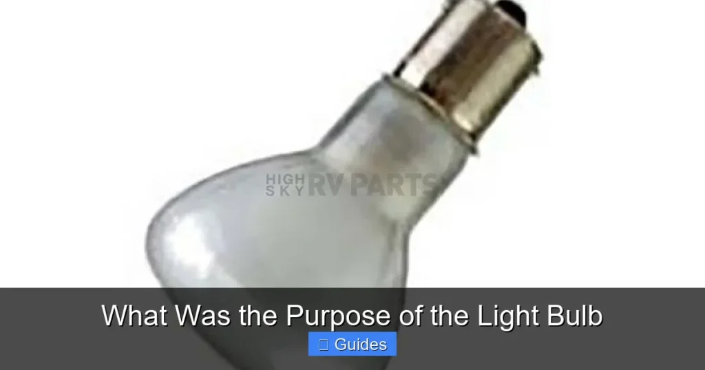 What Was the Purpose of the Light Bulb