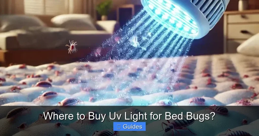 Where to Buy Uv Light for Bed Bugs?