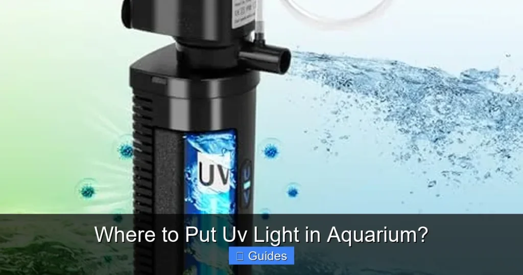 Where to Put Uv Light in Aquarium?