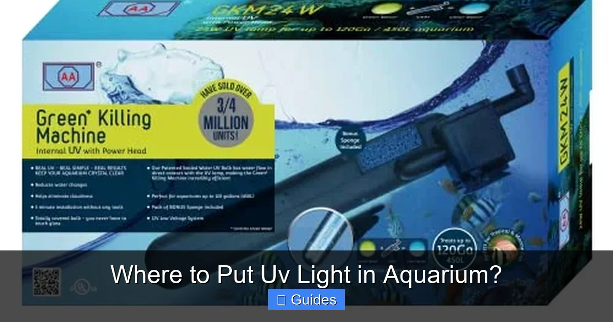Where to Put Uv Light in Aquarium?