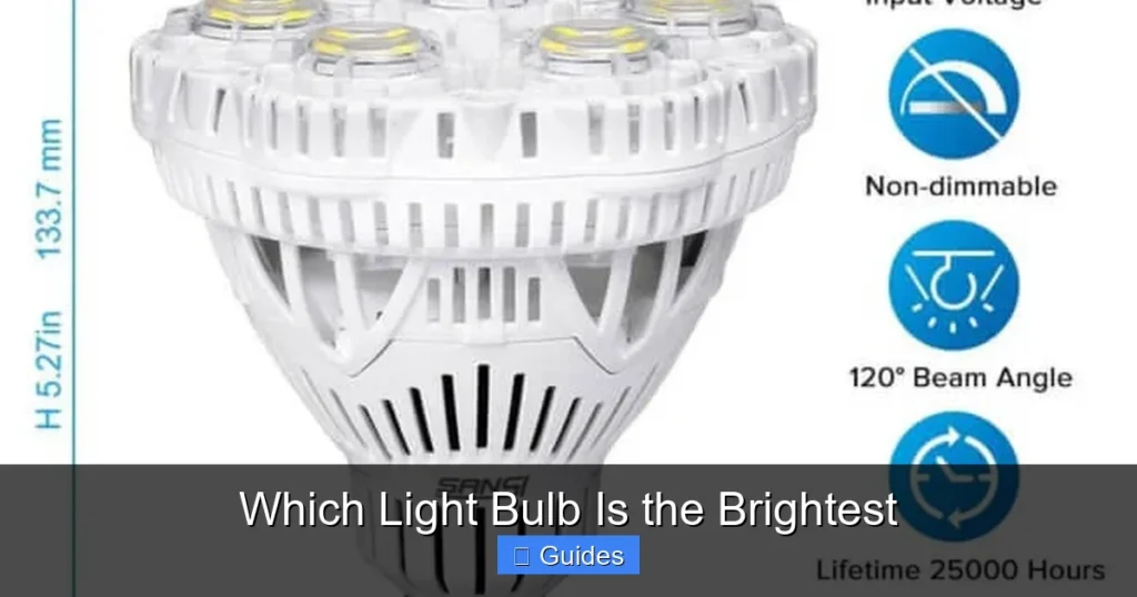 Which Light Bulb Is the Brightest