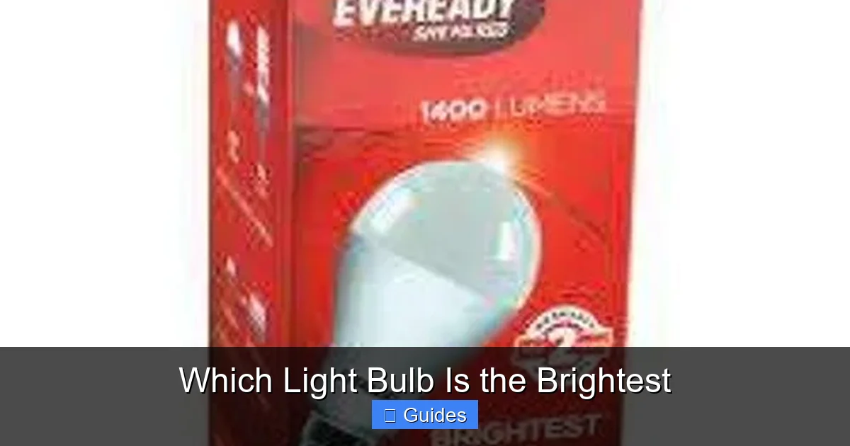 Which Light Bulb Is the Brightest