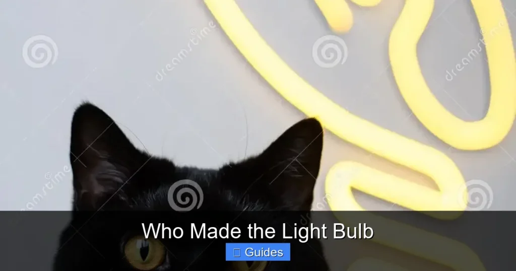 Who Made the Light Bulb