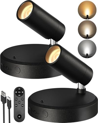 EZVALO Indoor Spotlights, Picture Lights for Wall, Uplights
