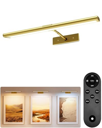 EZVALO Picture Light for Wall, 4800mAh Rechargeable...