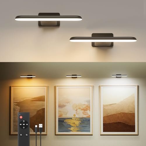 FULEN 2 Pack Picture Lights for Wall,Art for Paintings