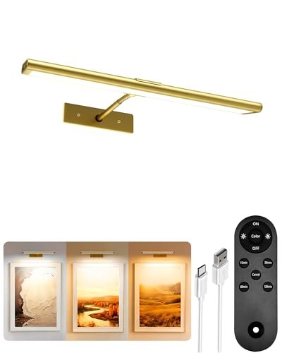EZVALO Picture Light for Wall, 4800mAh Rechargeable...