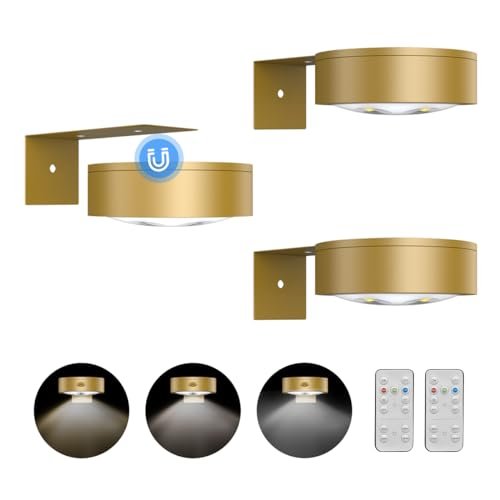 3Pack Picture Light Battery Operated Painting Lights with...