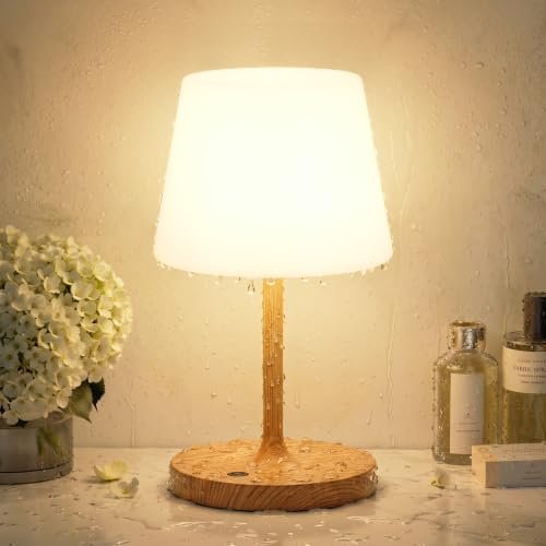 Shower Lamp IP54 Waterproof, Cordless Rechargeable Table...