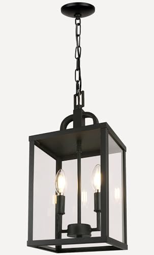 Large Outdoor Indoor Pendant Light 2-Light, Modern Black...