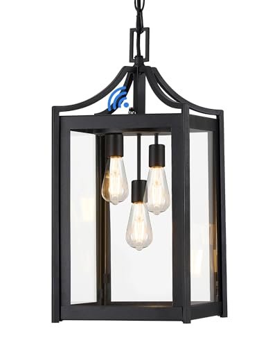 Osimir Outdoor Pendant Lights for Porch, 18.5