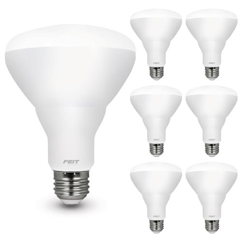 Feit Electric BR30 LED Light Bulbs, 100W Dimmable Daylight